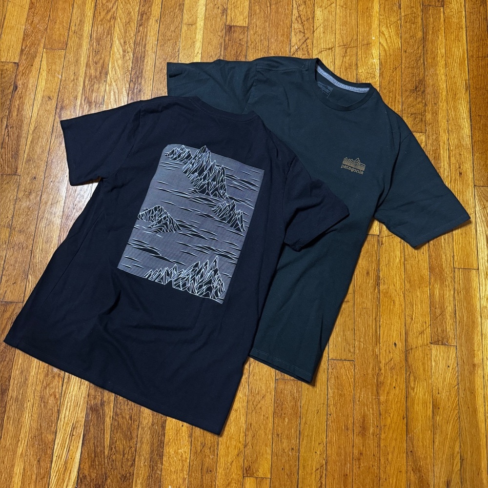 Patagonia Men's Graphic Strataspire Responsibili-Tee Old Growth Green Black M